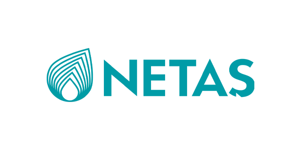 Netaş Logo Netaş Logo